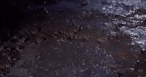 Raising Arizona Jailbreak