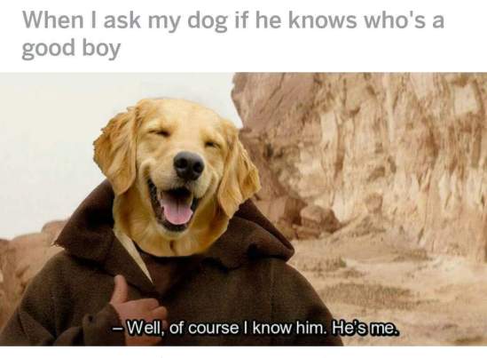 When I Ask My Dog If He Knows He's A Good Boy